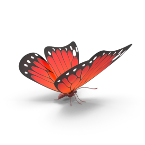 Milena Tamashiro de Amorim